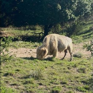 Meet your Posher, Cori